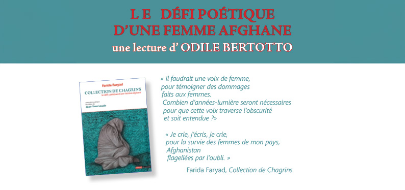 collection de chagrins